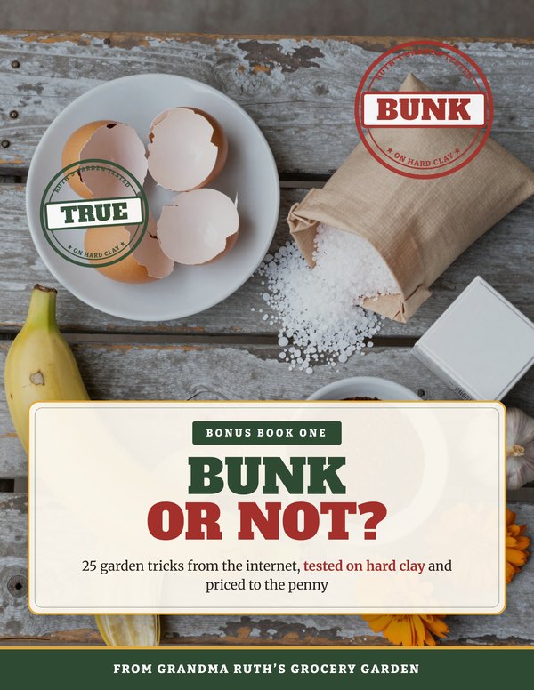 Bunk or Not? cover